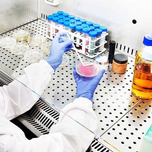 pilelabs